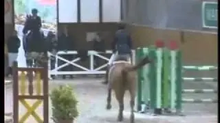 Quidamia