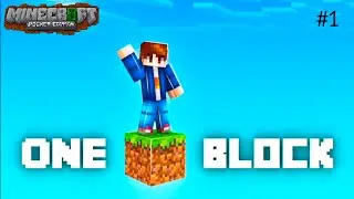 One block in Minecraft Pocket Edition gameplay #1