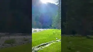 #heaven #swat