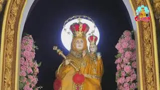 🔴 Live 31 August 2025 @ Vailankanni Shrine Basilica