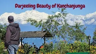 Darjeeling Beauty of Kanchanjunga//Shrubbery 