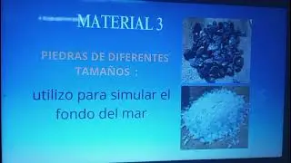 Como hacer un mini habitat acu&aacute;tico 