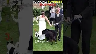 Ranking FUNNIEST DOG FAILS! #funny #viral #ranked