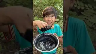 wow !! smart idea and useful in forest #camping​ #bushcraft​ #outdoors​ #survival​ #lifehabits​