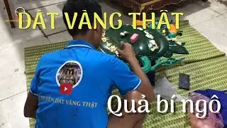 D&Aacute;T V&Agrave;NG THẬT quả b&iacute; ng&ocirc; | Lh : 0904595175