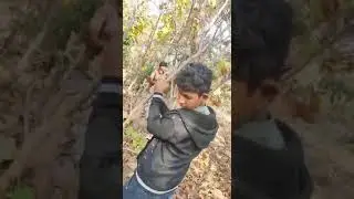 pushpa low budget...........