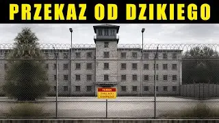 Dziki dzwoni z więzienia..