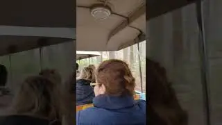 Train ride at turtle back zoo.