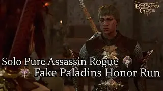 Solo Pure Assassin Rogue Fake Paladins Honor Run Part 5