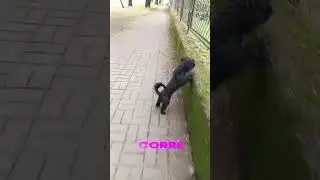 Mu&ntilde;eca caminando por el parque