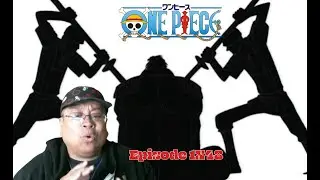 One Piece 1X48 