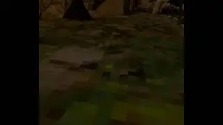 reason why I don't have shaders