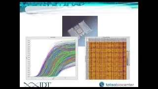 Single Cell Expression Profiling