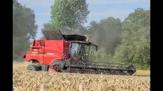 MOISSON DE BLE 2018 AVEC UNE CASE IH AXIAL-FLOW 7240...