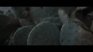Migos- Get Right Witcha(Official video)