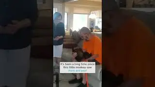 Monkey Reunited With His Owners