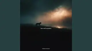 Lone Wolf Mentality (feat. Alpha & The Julianno)