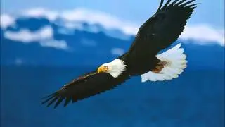 Putumayo - Arar&eacute; el Aire