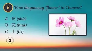 Fun Chinese Quiz for Beginners! Learn Mandarin | 10 Easy Q&A