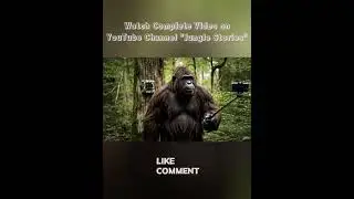 Delete the Footage #bigfootvlog #forestadventure #junglestories #foundfootage #povvlog #bigfoot