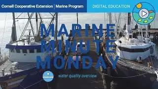 Marine Minute Monday! 