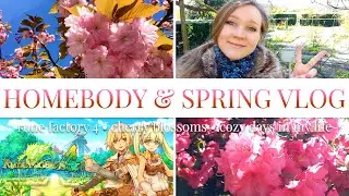Homebody & Spring Vlog | i played rune factory 4 for the first time + lifestyle + my life in leiden