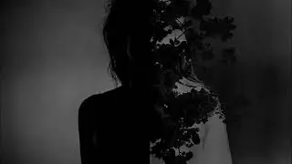 NOCTURNAL DEPRESSION (FRANCE)-  THE STARS LIGHTENING MY PATH( DSBM 2007)