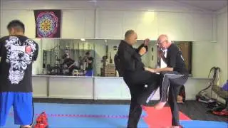 WKA Fight Combinations
