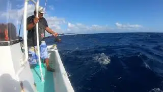 Pesca De Coronado De 15 kilos con Jigging