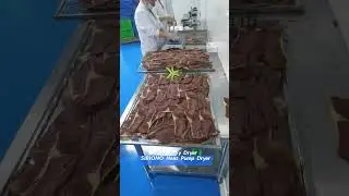 Efficient Beef Drying Machine | Save Time & Energy | SIBIONO