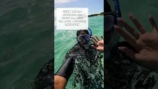 Meet Gilliam Fellow Joyah Watkins!  #YouTubeshorts #shorts #science #stem #stemeducation #research
