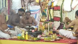 Velleeshwarar temple Annual festival Divine marriage #india #hindu #bhakti