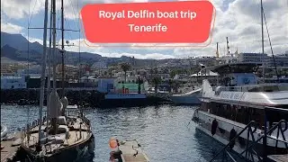 Royal Delfin boat trip | Puerto Colon | Playa Las Americas | Tenerife