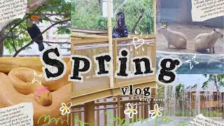 Spring Vlog 🌼🍃 | productive day, visiting the zoo, movie time