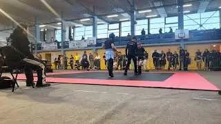 ANAE 16/11/2025 - VERCEL CHAMPIONNAT DE BOURGOGNE 