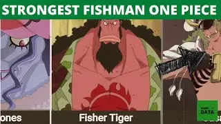 Fishman One Piece 