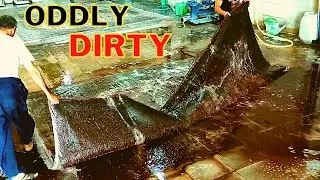 like Sewer overflow - lncredible dirty carpet cleaning satisfying ASMR