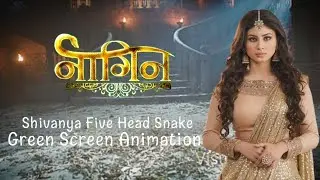 Naagin | Shivanya Five Head Snake | Green Screen Animation |