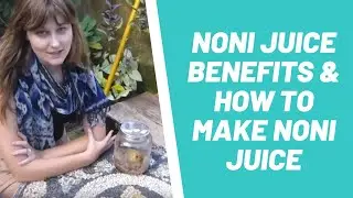 Noni Juice Benefits & How To Make Noni Juice