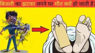 बिजली का झटका लगाने पर मौत क्यों हो जाती है? ||#factride ||#electricity ||#gdep 83||
