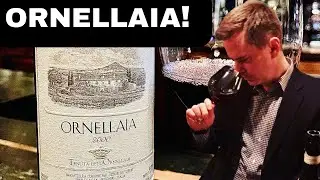 SUPER TUSCAN Legends: ORNELLAIA & MASSETO (Wine Collecting)