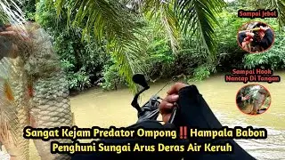 Sangat Kejam Predator Ompong‼️Casting Ikan Hampala Babon Arus Deras Di Sungai Air Keruh Kalimantan
