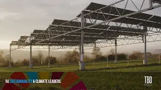 BayWa: When Crops Meet Solar Farms