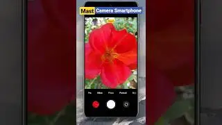 Is Phone Ka Camera Mast Hai #bestcameraphone #bestcamera #shorts #techwiserabhay #cameraphone