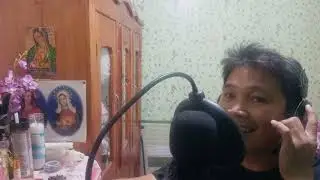 Can't Fight This Feeling Anymore-Reo Speedwagon(Cover Song Ron-nellen M.)