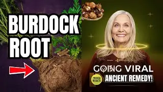 Burdock Root Benefits: Nature's Detox Powerhouse That Actually Works in 2026!