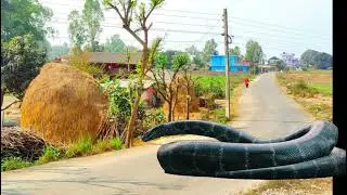 A big onokad came to the village
