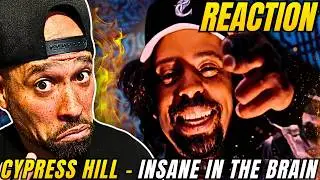 Cypress Hill - Insane In The Brain REACTION! When Hip Hop & Rap was EXCITING....