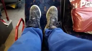 adidas veritas