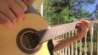 David Pippin's Beautiful Demo Outdoors with ToneWoodAmp